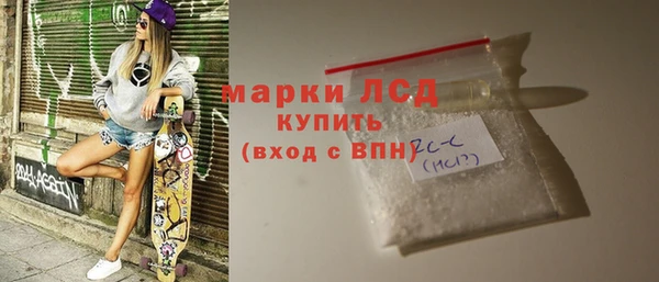 стаф Ельня