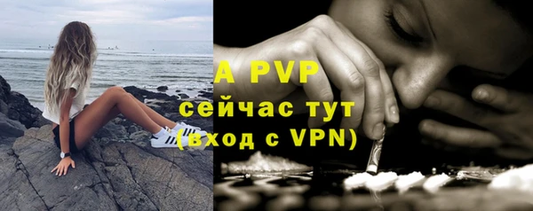 стаф Ельня