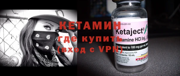 стаф Ельня