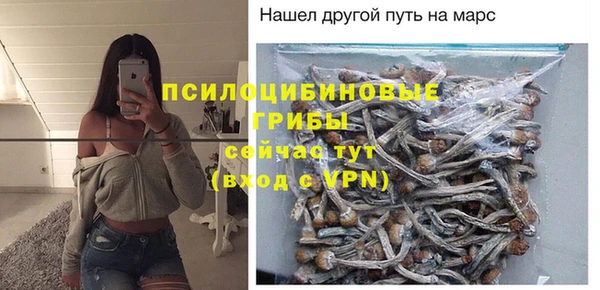 гашиш Дмитриев