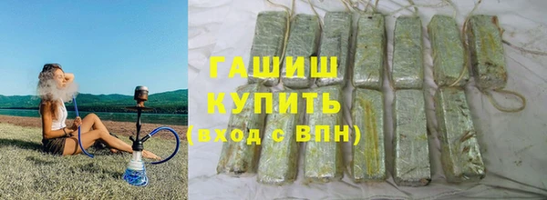 стаф Ельня