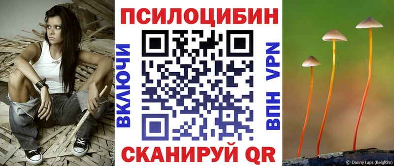 Купить закладки  Северобайкальск  Галлюциногенные грибы мухоморы 